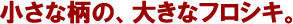 �����ȕ��́A�傫�ȃt���V�L�B�R�g�R��V���B