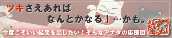 ツキさえあればなんとかなる…かも。。。そんなアナタに送るオタスケアイテム!?【ついてる堂】ミニふろしき