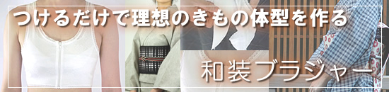 ���邾���ŗ��z�̂����̑̌^�I�a���u���W���[