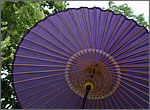 【和傘】蛇の目傘(紫)