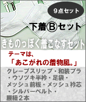 Bセット:きものっぽく着こなすセット