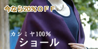 �J�V�~��100��