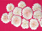 八重桜の正絹刺繍半衿