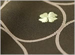丸に花の刺繍をあしらった半衿