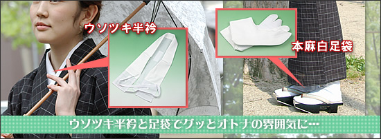 オプションセット