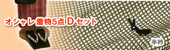 本格派さんのための、小粋な綿着物5点・Dセット!