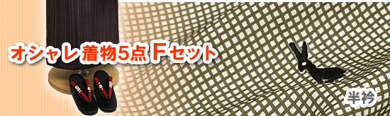 本格派さんのための、小粋な綿着物5点・Fセット!