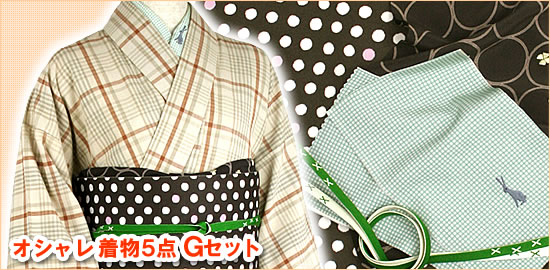 本格派さんのための、小粋な綿着物5点・Gセット!