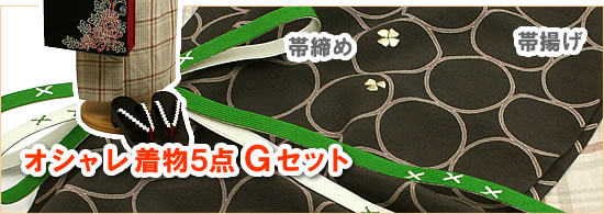 本格派さんのための、小粋な綿着物5点・Gセット!
