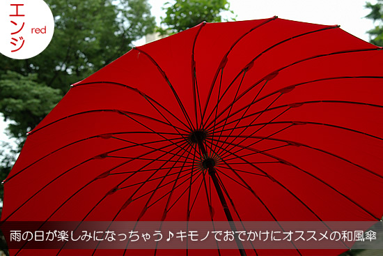 雨の日お出かけ用和傘(24本骨)