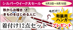 着付け12点セット